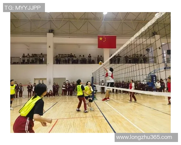 北京排球队比赛经验分享：从训练到赛场的成长之路